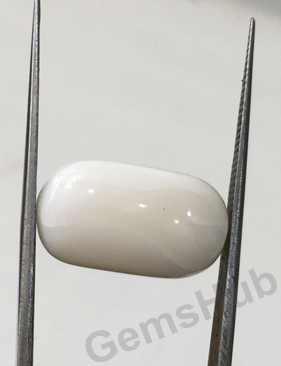 11.50 ratti/10.36 ct Natural Certified  White Coral/सफ़ेद मूंगा